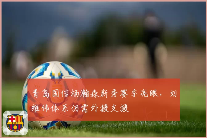 青岛国信杨瀚森新秀赛季亮眼，刘维伟体系仍需外援支援