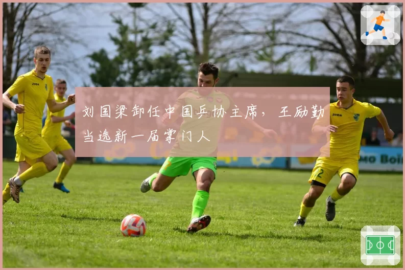 刘国梁卸任中国乒协主席,王励勤当选新一届掌门人