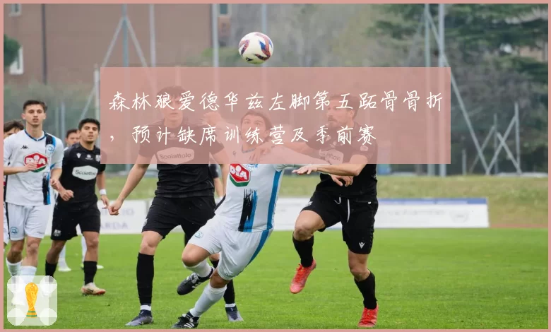 森林狼爱德华兹左脚第五跖骨骨折，预计缺席训练营及季前赛
