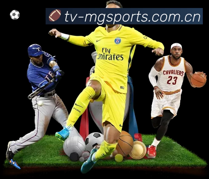 关于 满冠体育中文总站