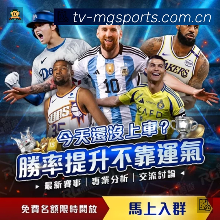 看点解析